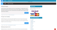 Desktop Screenshot of marmarapimapen.com